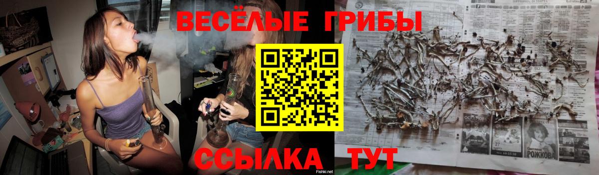 Галлюциногенные грибы Psilocybine cubensis  Вход с VPN  Трёхгорный 